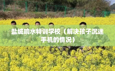 盐城响水特训学校(解决孩子沉迷手机的情况) 盐城响水特训学校(解决孩子沉迷手机的情况)