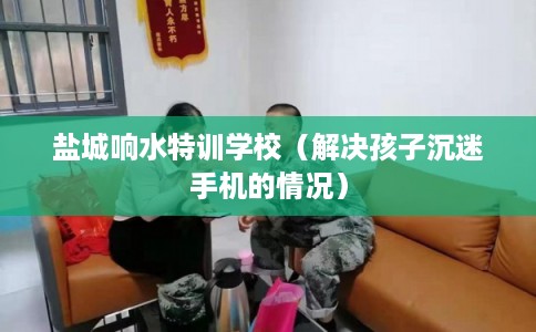 盐城响水特训学校（解决孩子沉迷手机的情况）