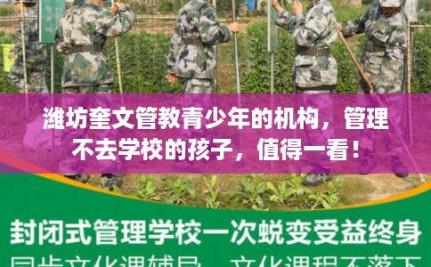 潍坊奎文管教青少年的机构，管理不去学校的孩子，值得一看！