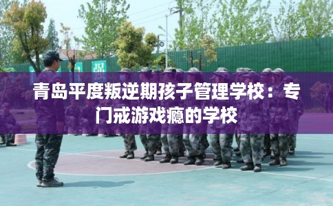 青岛平度叛逆期孩子管理学校：专门戒游戏瘾的学校