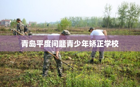 青岛平度问题青少年矫正学校