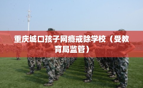 重庆城口孩子网瘾戒除学校（受教育局监管）