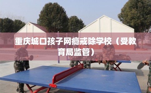 重庆城口孩子网瘾戒除学校（受教育局监管）