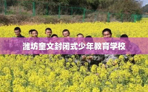 潍坊奎文封闭式少年教育学校 潍坊奎文封闭式少年教育学校