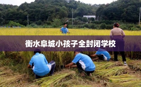 衡水阜城小孩子全封闭学校