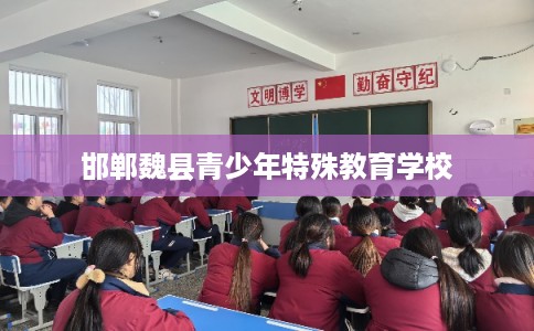 邯郸魏县青少年特殊教育学校