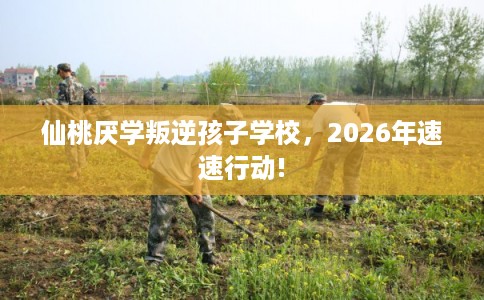 仙桃厌学叛逆孩子学校，2026年速速行动!