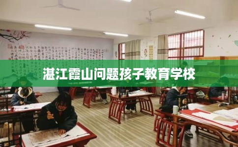湛江霞山问题孩子教育学校