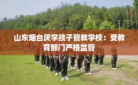 山东烟台厌学孩子管教学校：受教育部门严格监管