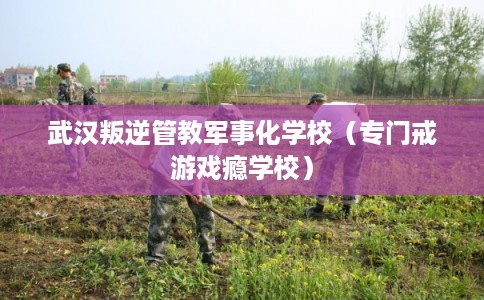 武汉叛逆管教军事化学校(专门戒游戏瘾学校) 武汉叛逆管教军事化学校(专门戒游戏瘾学校)