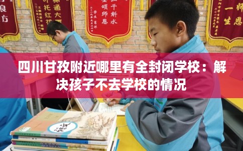 四川甘孜附近哪里有全封闭学校：解决孩子不去学校的情况