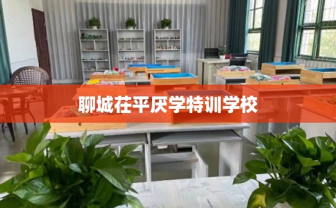 聊城茌平厌学特训学校