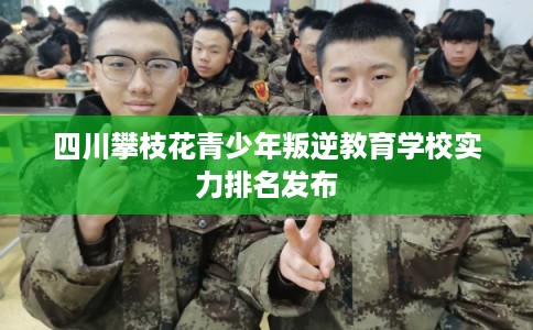 四川攀枝花青少年叛逆教育学校实力排名发布 四川攀枝花青少年叛逆教育学校实力排名发布