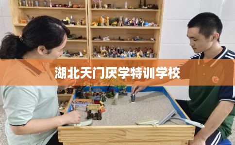 湖北天门厌学特训学校