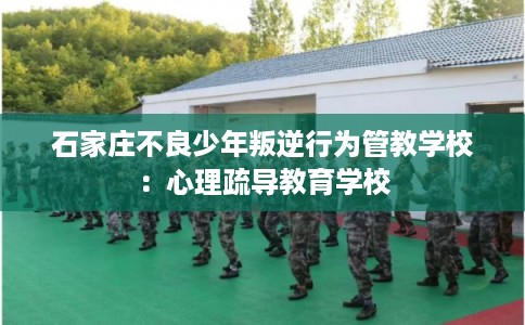 石家庄不良少年叛逆行为管教学校:心理疏导教育学校 石家庄不良少年叛逆行为管教学校:心理疏导教育学校