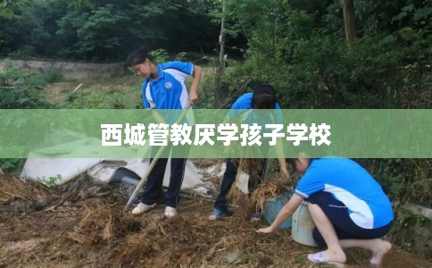 西城管教厌学孩子学校