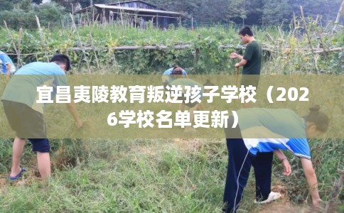 宜昌夷陵教育叛逆孩子学校（2026学校名单更新）