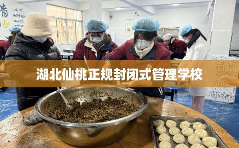 湖北仙桃正规封闭式管理学校