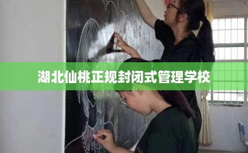湖北仙桃正规封闭式管理学校