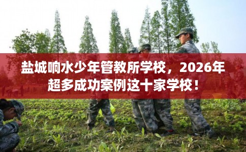 盐城响水少年管教所学校，2026年超多成功案例这十家学校！