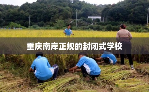 重庆南岸正规的封闭式学校 重庆南岸正规的封闭式学校