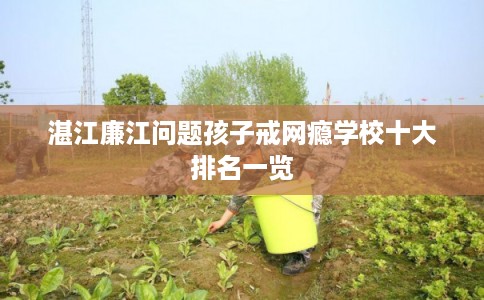 湛江廉江问题孩子戒网瘾学校十大排名一览