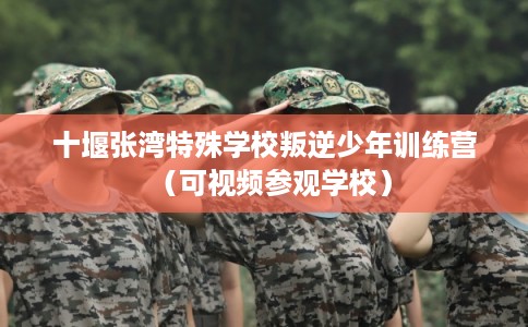 十堰张湾特殊学校叛逆少年训练营（可视频参观学校）