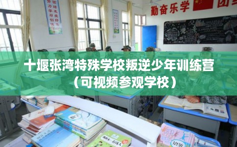 十堰张湾特殊学校叛逆少年训练营（可视频参观学校）