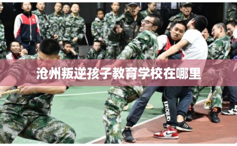 沧州叛逆孩子教育学校在哪里 沧州叛逆孩子教育学校在哪里