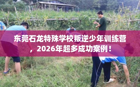 东莞石龙特殊学校叛逆少年训练营，2026年超多成功案例！