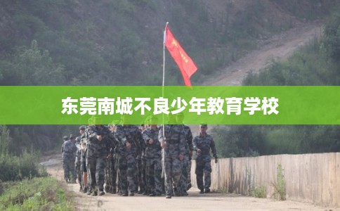 东莞南城不良少年教育学校