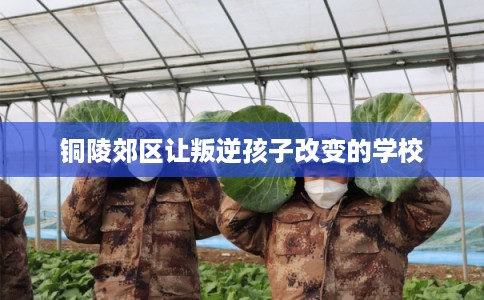 铜陵郊区让叛逆孩子改变的学校