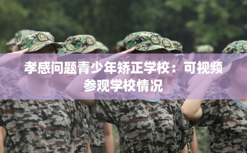 孝感问题青少年矫正学校：可视频参观学校情况