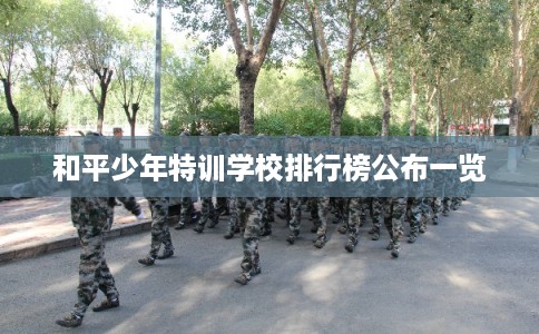 和平少年特训学校排行榜公布一览