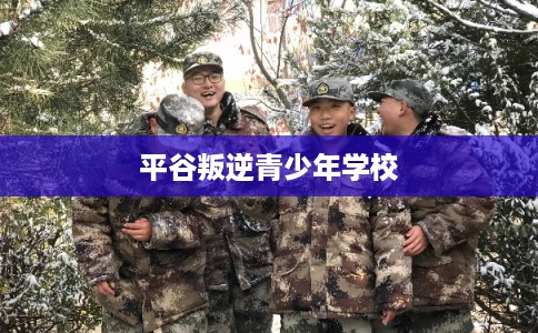 平谷叛逆青少年学校 平谷叛逆青少年学校