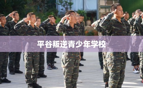 平谷叛逆青少年学校 平谷叛逆青少年学校