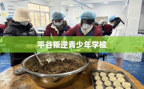 平谷叛逆青少年学校 平谷叛逆青少年学校