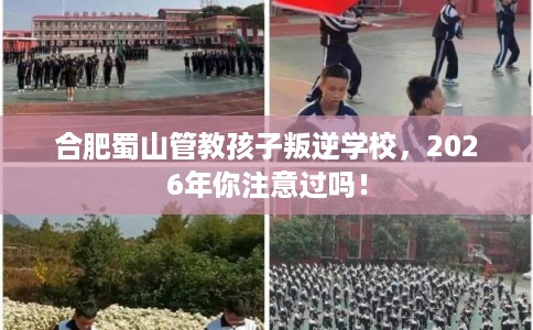 合肥蜀山管教孩子叛逆学校,2026年你注意过吗! 合肥蜀山管教孩子叛逆学校,2026年你注意过吗!