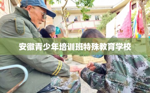 安徽青少年培训班特殊教育学校