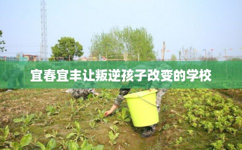 宜春宜丰让叛逆孩子改变的学校 宜春宜丰让叛逆孩子改变的学校