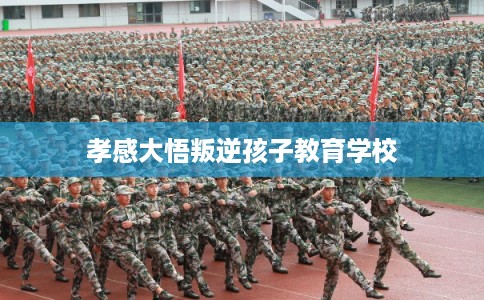 孝感大悟叛逆孩子教育学校
