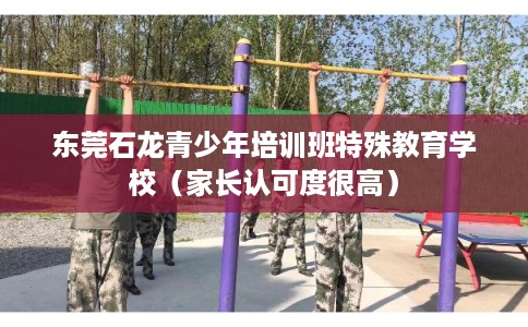 东莞石龙青少年培训班特殊教育学校（家长认可度很高）
