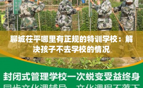聊城茌平哪里有正规的特训学校:解决孩子不去学校的情况 聊城茌平哪里有正规的特训学校:解决孩子不去学校的情况
