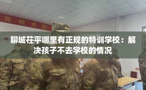 聊城茌平哪里有正规的特训学校：解决孩子不去学校的情况