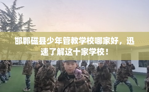 邯郸磁县少年管教学校哪家好，迅速了解这十家学校！