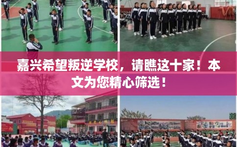嘉兴希望叛逆学校，请瞧这十家！本文为您精心筛选！