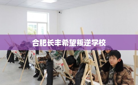 合肥长丰希望叛逆学校