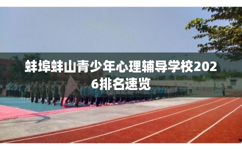蚌埠蚌山青少年心理辅导学校2026排名速览