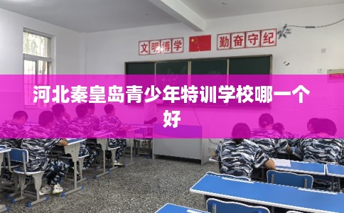 河北秦皇岛青少年特训学校哪一个好