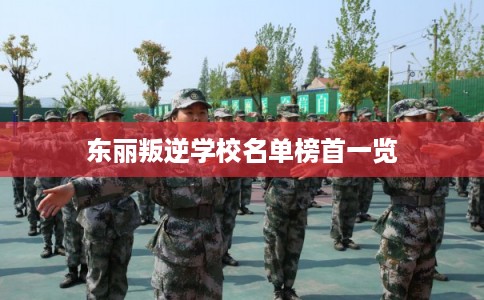 东丽叛逆学校名单榜首一览